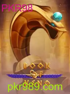 Explorando o Fascinante Universo de BookOfKeno com PKR98
